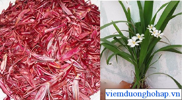 Sâm đại hành 1