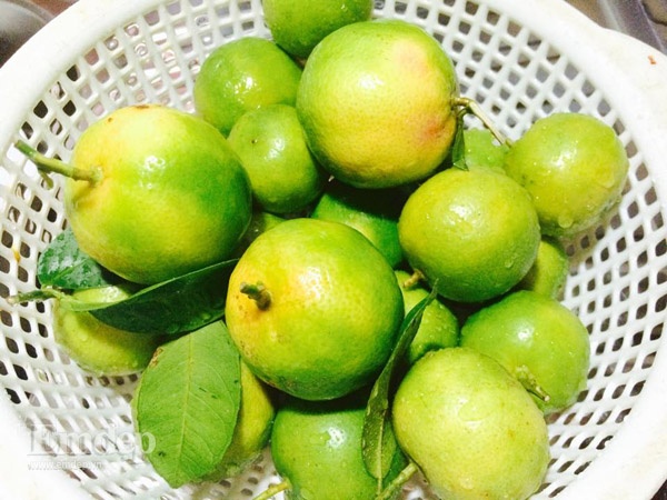 Kinh nghiệm thoát viêm họng mạn tính, ho dai dẳng tái phát 1