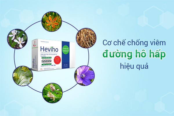 Y học hiện đại ứng dụng Xạ can trong việc điều trị các bệnh về đường hô hấp 3