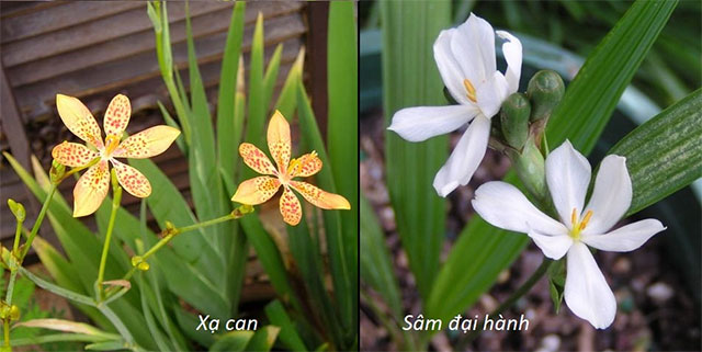 Thành tựu khoa học từ Viện Hàn lâm khoa học & công nghệ Việt Nam 1