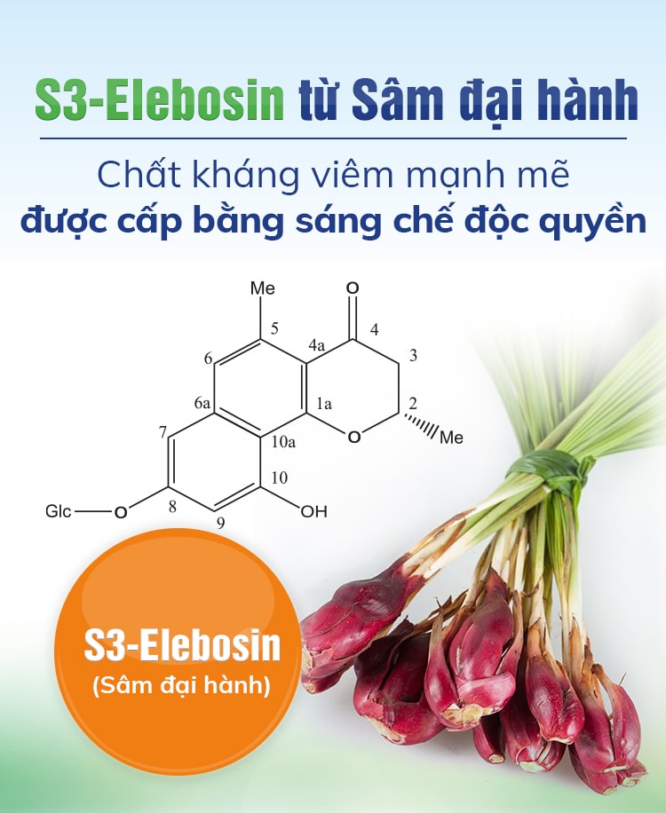 Hoạt chất S3-Elebosin chiết xuất từ Sâm đại hành 1