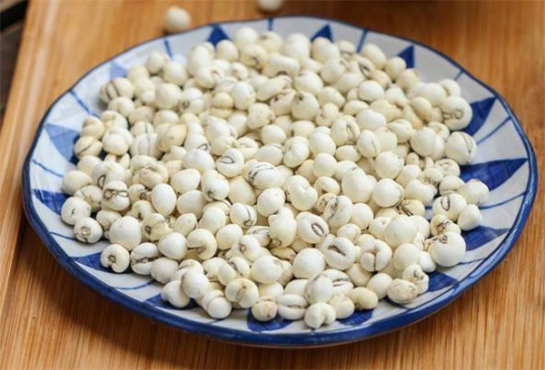 Xuyên bối mẫu – Vị thuốc cổ phương đặc trị ho đờm dai dẳng
