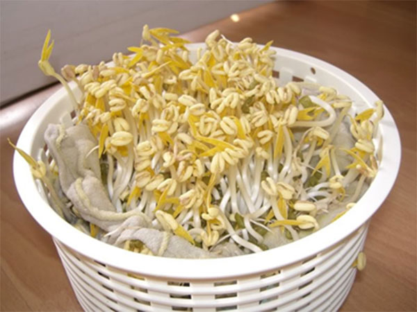 Mẹo hay dứt ngay khản tiếng, hụt hơi vì viêm thanh quản 2