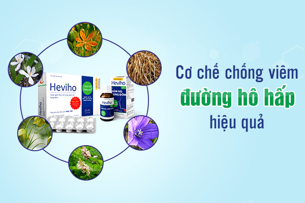 3. Tác dụng mạnh mẽ lên các bệnh đường hô hấp 1