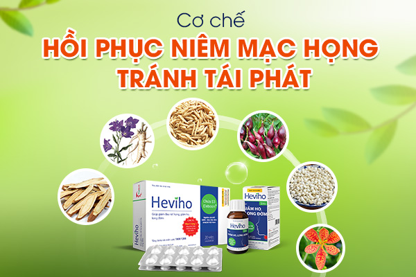 1. Heviho giúp hồi phục niêm mạc họng, tăng cường sức khoẻ vòm họng, tránh tái phát 1