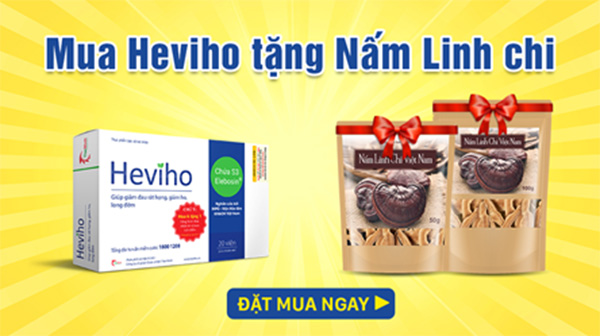 Ưu đãi lớn: Tặng Nấm Linh Chi cho Khách hàng Heviho 1