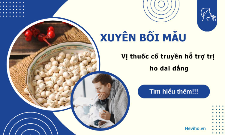 xuyên bối mẫu