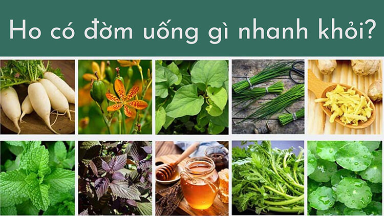 Ho có đờm nên uống gì để nhanh khỏi nhất?