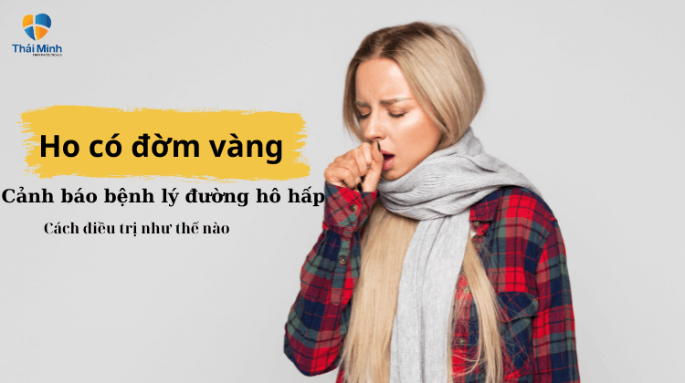 Ho có đờm vàng là dấu hiệu của bệnh lý gì? Cách điều trị như thế nào?