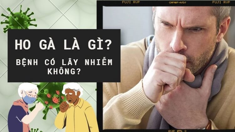 Ho gà là bệnh gì? Nguyên nhân, triệu chứng và cách điều trị hiệu quả 1