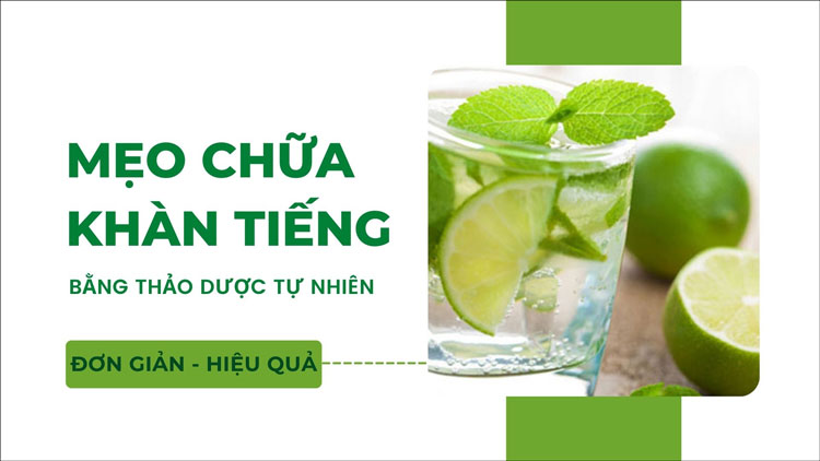 Bỏ túi ngay 9 mẹo chữa khàn tiếng bằng thảo dược đơn giản hiệu quả tại nhà